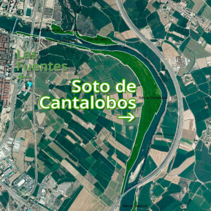 Soto de Cantalobos - Mapa